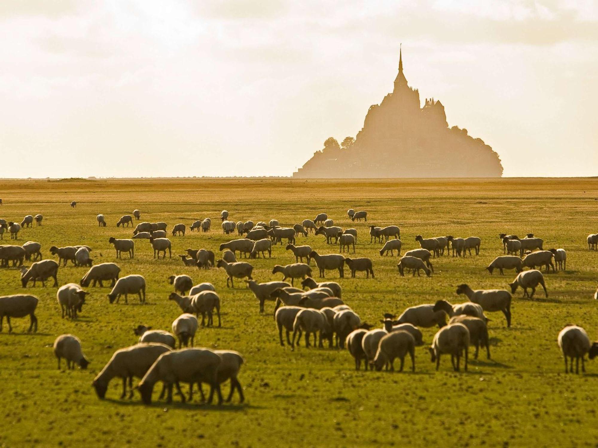 hotelF1 Avranches Baie Du Mont Saint Michel Buitenkant foto